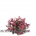 Bungalow Rose Eucalyptus Half Orb Centerpiece CRLE2080